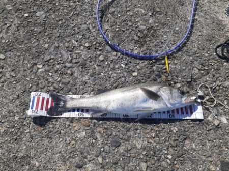 その時は突然に